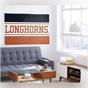 Longhorns Black and Brown Wall Flag